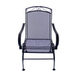 Living Accents Winston Black Steel Frame Spring Dining Chair