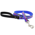 LupinePet Original Designs Multicolored Ripple Creek Nylon Dog Leash