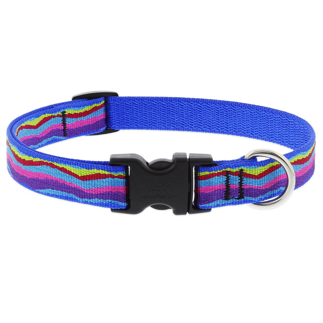 LupinePet Original Designs Multicolored Ripple Creek Nylon Dog Adjustable Collar