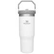 Stanley The IceFlow 30 oz Double-wall vacuum insulation Polar BPA Free Insulated Straw Tumbler