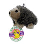 Aspen Pet Multicolored Plush Hedgehog Dog Toy Medium 1 pk