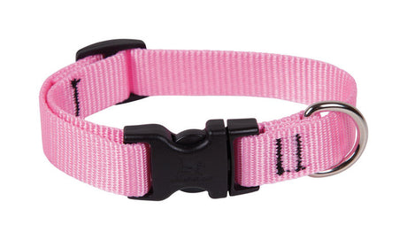 LupinePet Basic Solids Pink Pink Nylon Dog Adjustable Collar