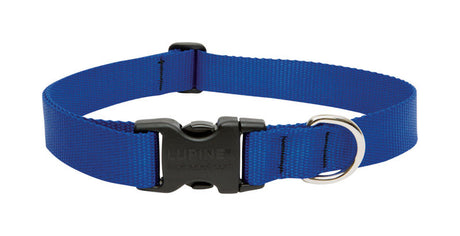 LupinePet Basic Solids Blue Blue Nylon Dog Adjustable Collar