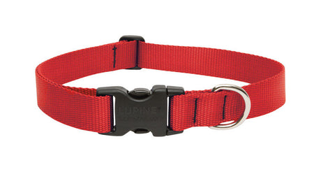 LupinePet Basic Solids Red Red Nylon Dog Adjustable Collar