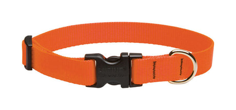 LupinePet Basic Solids Blaze Orange Blaze Orange Nylon Dog Adjustable Collar