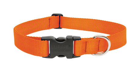 LupinePet Basic Solids Blaze Orange Blaze Orange Nylon Dog Adjustable Collar