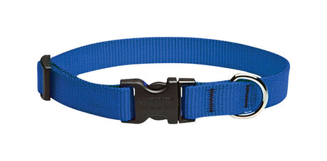 LupinePet Basic Solids Blue Blue Nylon Dog Adjustable Collar