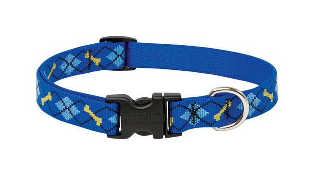 LupinePet Original Designs Multicolor Dapper Dog Nylon Dog Adjustable Collar