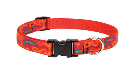 LupinePet Original Designs Multicolor Go Go Gecko Nylon Dog Adjustable Collar