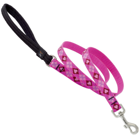 LupinePet Original Designs Multicolor Puppy Love Nylon Dog Leash