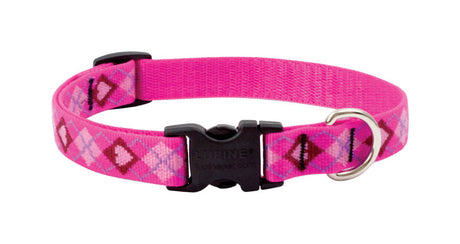 LupinePet Original Designs Multicolor Puppy Love Nylon Dog Adjustable Collar