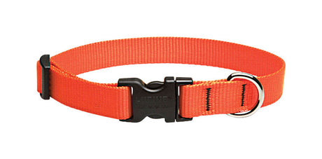 LupinePet Basic Solids Blaze Orange Blaze Orange Nylon Dog Adjustable Collar