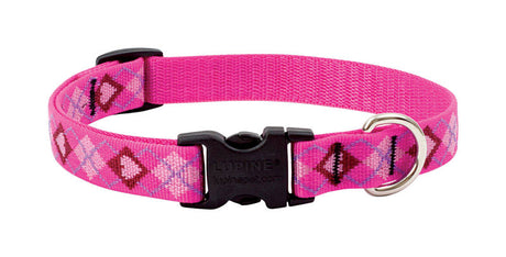 LupinePet Original Designs Multicolor Puppy Love Nylon Dog Adjustable Collar