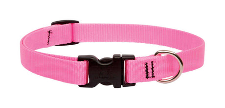 LupinePet Basic Solids Pink Pink Nylon Dog Adjustable Collar