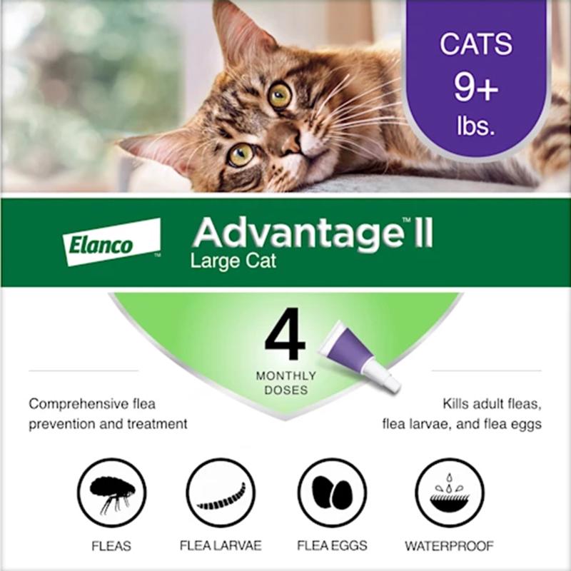 Bayer Advantage II Liquid Cat Flea Drops Imidacloprid/Pyriproxyfen 0.108 oz