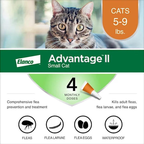 Bayer Advantage II Liquid Cat Flea Drops Imidacloprid/Pyriproxyfen 0.056 oz