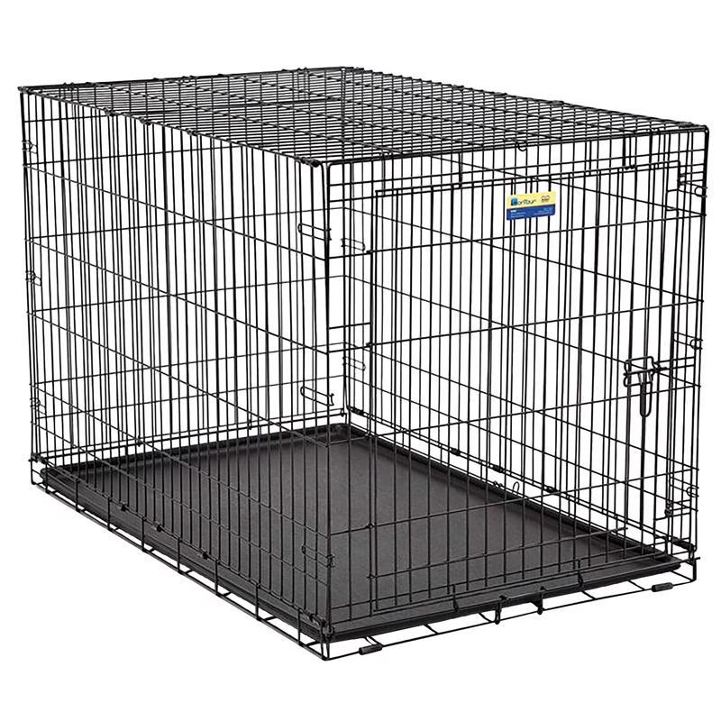 Pet Essentials Medium Steel Dog Crate Black 26 in. H X 24 in. W X 36 in. D