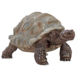 Schleich Wild Life Giant Tortoise Toy Plastic Beige/Brown