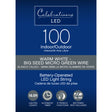 Celebrations LED Micro Dot/Fairy Clear/Warm White 100 ct String Christmas Lights 16.5 ft.