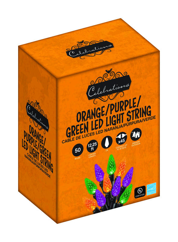 Celebrations Multicolored 50 ct LED String Lights